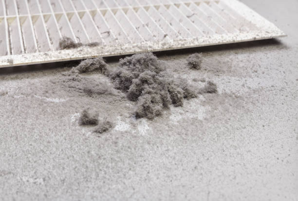 Best Affordable Duct Cleaning Services  in Lake Brownwood, TX